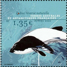 Commerson's Dolphin (Cephalorhynchus commersonii) - French Australian and Antarctic Territories 2020 - 1.35