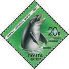 Common Bottlenose Dolphin (Tursiops truncatus) - Russia / Soviet Union 1991 - 20