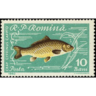 Common Carp (Cyprinus carpio) - Romania 1960 - 10