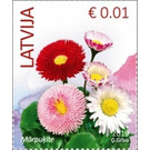 Common Daisy (Bellis perennis) - Latvia 2019 - 0.01