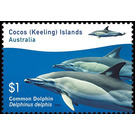 Common Dolphin (Delphinus delphis) - Cocos (Keeling) Islands 2016 - 1