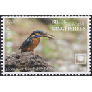 Common Kingfisher (Alcedo atthis) - Polynesia / Cook Islands 2020 - 3