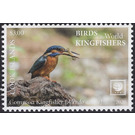 Common Kingfisher (Alcedo atthis) - Polynesia / Cook Islands 2020 - 3