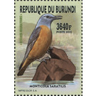 Common Rock Thrush (Monticola saxatilis) - East Africa / Burundi 2016