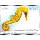 Common Seahorse (Hippocampus kuda) - UNO Geneva 2019 - 1.50