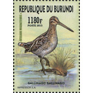 Common Snipe (Gallinago gallinago) - East Africa / Burundi 2016