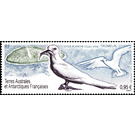 Common White Tern (Gygis alba) - French Australian and Antarctic Territories 2019 - 0.95