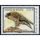 Comores Frances's Goshawk (Accipiter francesiae brutus) - East Africa / Mayotte 2010 - 0.56