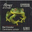 Condor Glass Frog (Centrolene condor) - South America / Ecuador 2019 - 0.50