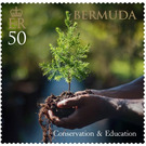 Conservation & Education - North America / Bermuda 2021 - 50