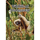 Coquerel's Sifaka (Propithecus coquereli) - Caribbean / Grenada 2020