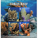 Coral Reef - Caribbean / Montserrat 2017