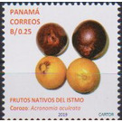 Corozo - Central America / Panama 2019 - 0.25