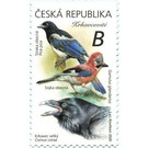 Corvidae - Czech Republic (Czechia) 2020