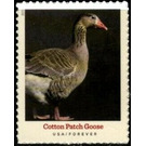 Cotton Patch Goose - United States of America 2021