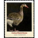 Cotton Patch Goose - United States of America 2021