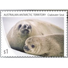 Crabeater Seal - Australian Antarctic Territory 2018 - 1