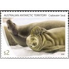 Crabeater Seal - Australian Antarctic Territory 2018 - 2