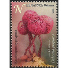 Cribraria purpurea - Belarus 2020