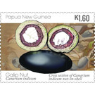 Cross Section of Nut - Melanesia / Papua and New Guinea / Papua New Guinea 2019 - 1.60
