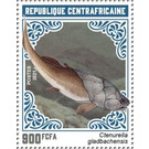 Ctenurella gladbachensis - Central Africa / Central African Republic 2021 - 900