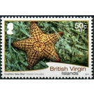 Cushion Sea Star - Caribbean / British Virgin Islands 2017 - 50