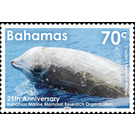 Cuvier's Beaked Whale (Ziphius cavirostris) - Caribbean / Bahamas 2019 - 70