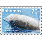 Cuvier's Beaked Whale (Ziphius cavirostris) - Caribbean / Bahamas 2019 - 70