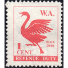 Cygnus atratus (black swan) - Western Australia 1966