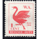 Cygnus atratus (black swan) - Western Australia 1975