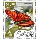 Cymothoe mabillei - Melanesia / Solomon Islands 2017 - 40