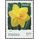 Daffodil - Romania 2020 - 1.90