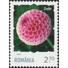 Dahlia - Romania 2020 - 2.70