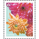 Dahlias - Canada 2020