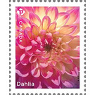 Dahlias - Canada 2020