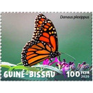 Danaus plexippus - West Africa / Guinea-Bissau 2020 - 100