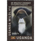 De Brazza's Monkey (Cercopithecus neglectus) - East Africa / Uganda 2017 - 900