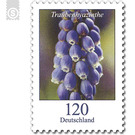 Definitive Series "Flowers" - Grape hyacinth  - Germany / Federal Republic of Germany 2019 - 120 Euro Cent