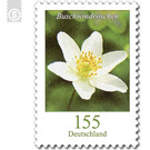 Definitive Series "Flowers" - Wood Anemone, self-adhesive  - Germany / Federal Republic of Germany 2019 - 155 Euro Cent