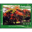 Delonix regia - South America / Venezuela 2016 - 46