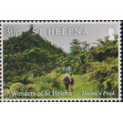 Diana's Peak - West Africa / Saint Helena 2020 - 30