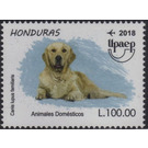 Dog - Central America / Honduras 2018 - 100