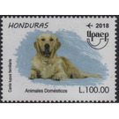 Dog - Central America / Honduras 2018 - 100