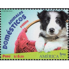 Dog - South America / Peru 2019 - 6.50
