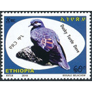 Dusky Turtle Dove (Streptopelia lugens) - East Africa / Ethiopia 2019 - 60