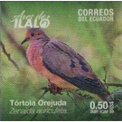 Eared Dove (Zenaida auriculata) - South America / Ecuador 2019 - 0.50