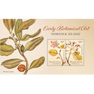 Early Botanic Art - Norfolk Island 2020