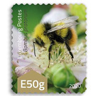 Early Bumblebee (Bombus pratorum) - Luxembourg 2020