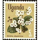 East African cordia (Cordia abyssinica) - East Africa / Uganda 1969 - 5