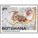 Eastern Nomad Scorpion (Hottentotta trilineatus) - South Africa / Botswana 2021 - 7